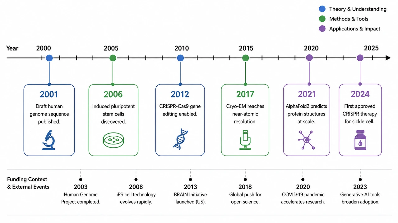 Scientific Discovery Timeline
