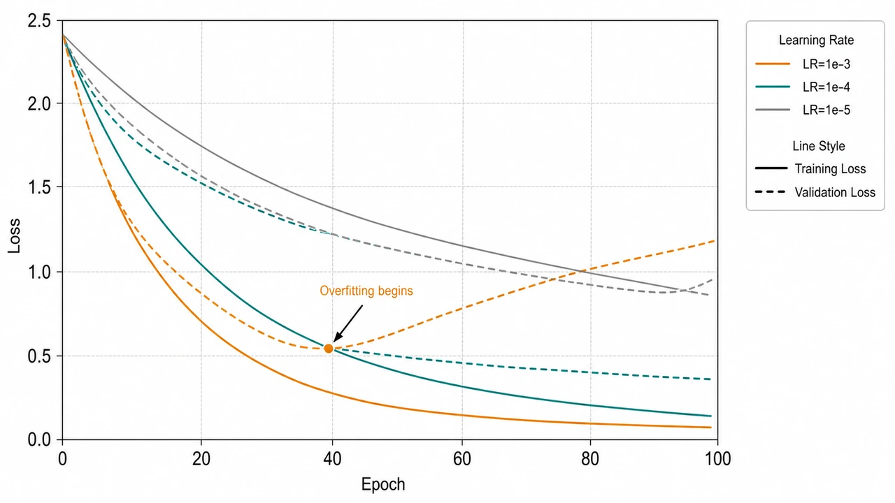 Training & Validation Loss Curve