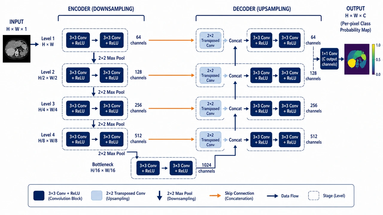 U-Net Encoder-Decoder for Segmentation